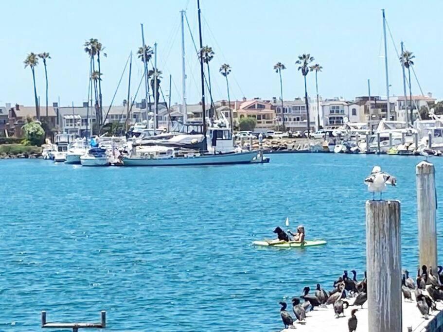 Gateway To Oxnard Beach Dış mekan fotoğraf